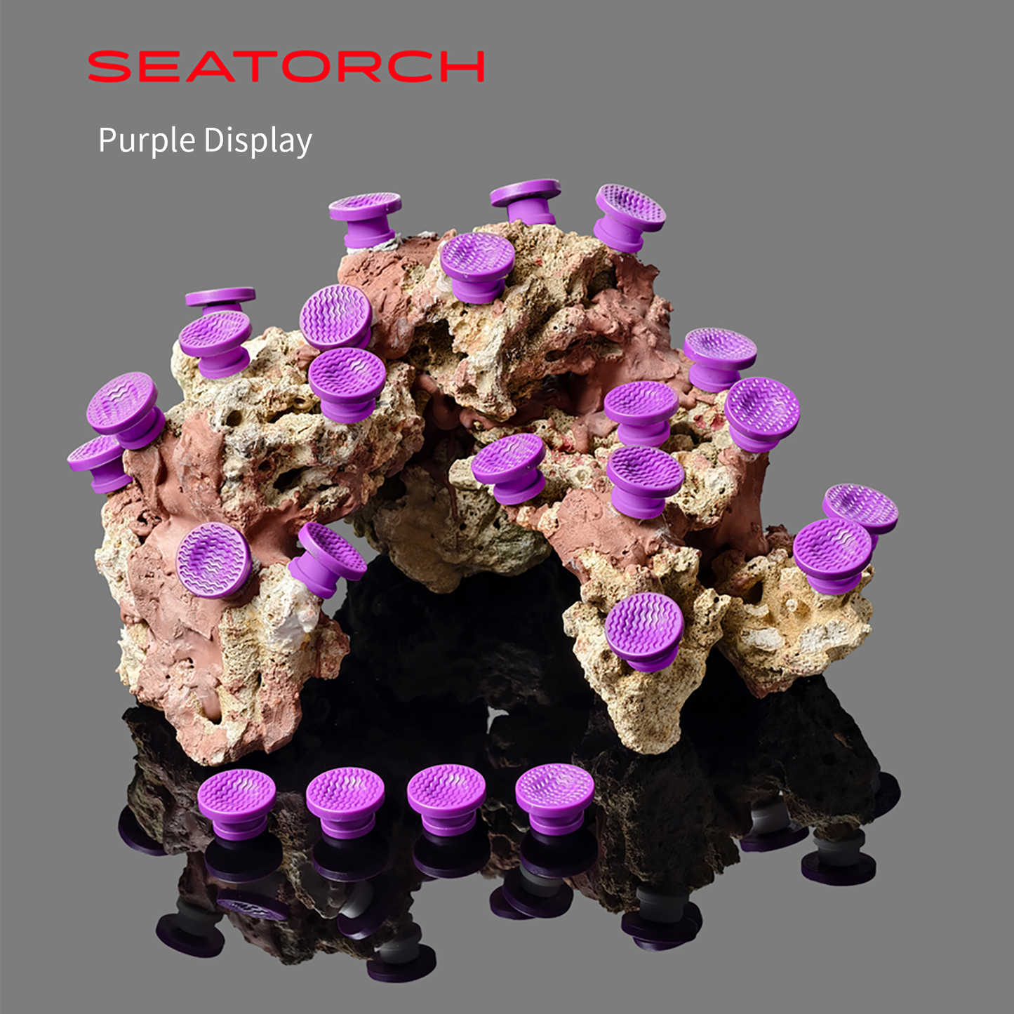 Seatorch FP Series FragPlug Coral Base for Aquariums,Smooth Surface to Avoid Coral Tissue Damage, Easy to Place in Any Reef Tank Layout